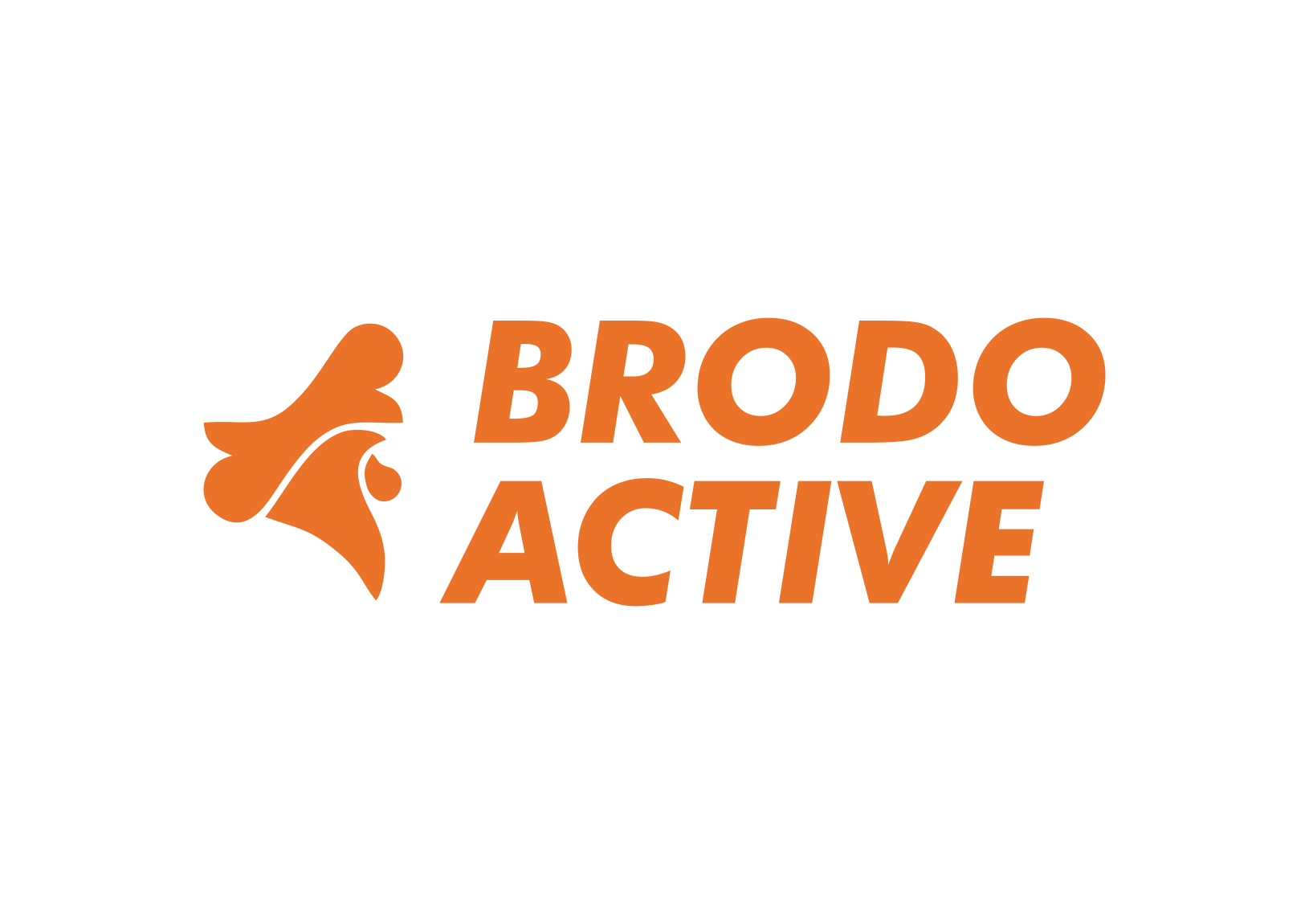 Brodo Active